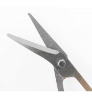 Zelo dolge škarje za pedikuro z ergonomsko oblikovano konico Wellys