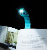 Flexilight Bookworm Teal pripenjalna svetilka za knjigo