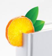 Zaznamek za knjigo v veselem dizajnu Fruitmark Orange