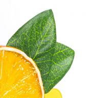 Zaznamek za knjigo v veselem dizajnu Fruitmark Orange